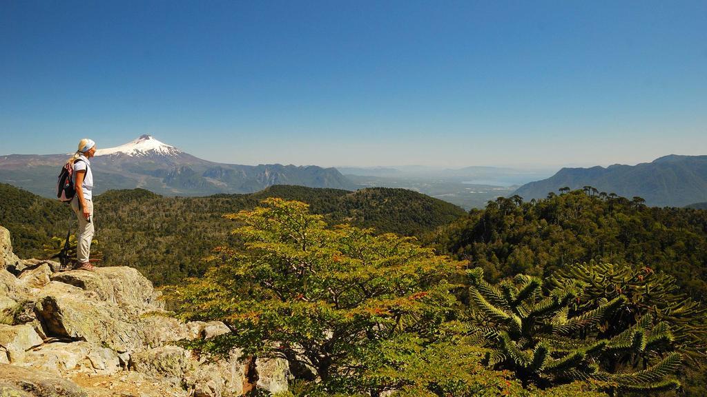 Casa De Campo Buenavista Pucon Ruang foto