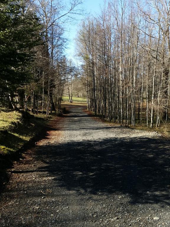 Casa De Campo Buenavista Pucon Ruang foto