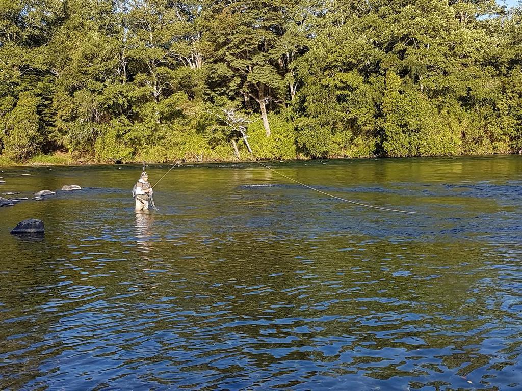 Casa De Campo Buenavista Pucon Bagian luar foto