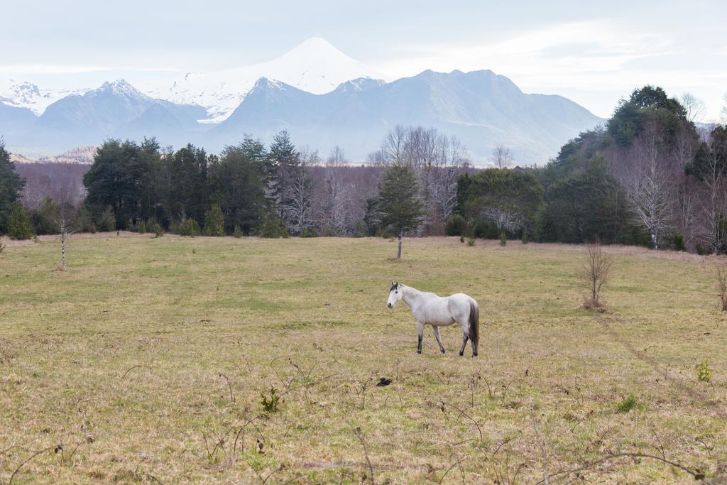 Casa De Campo Buenavista Pucon Bagian luar foto