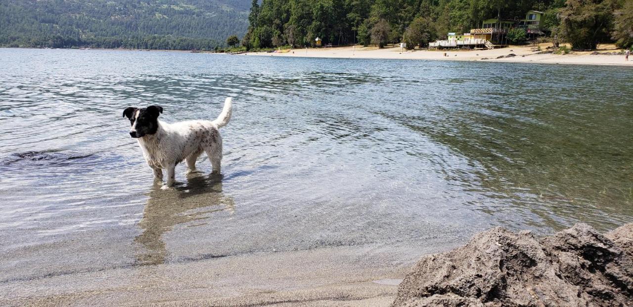 Casa De Campo Buenavista Pucon Bagian luar foto