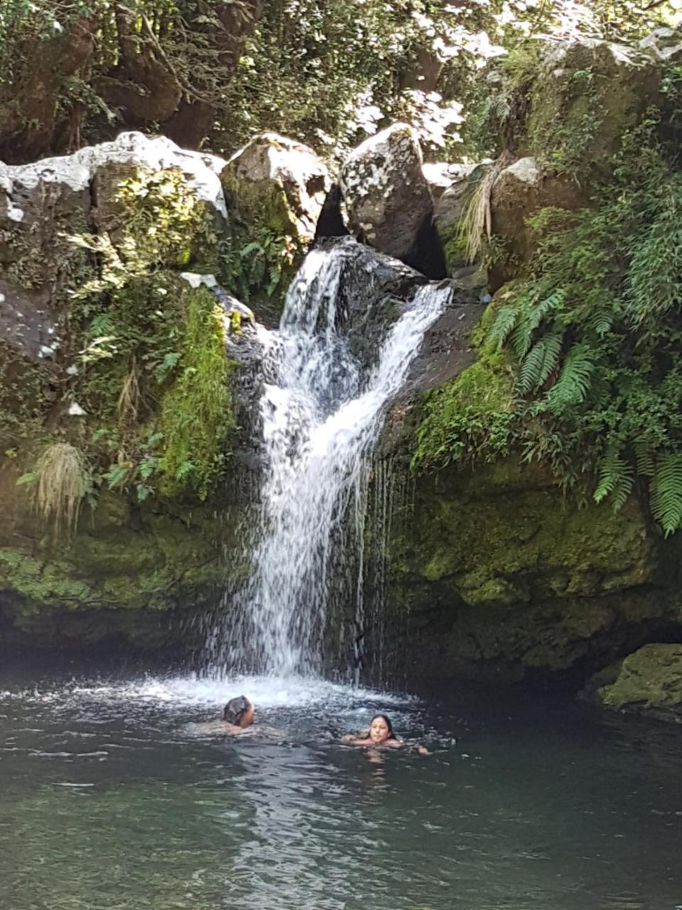 Casa De Campo Buenavista Pucon Bagian luar foto