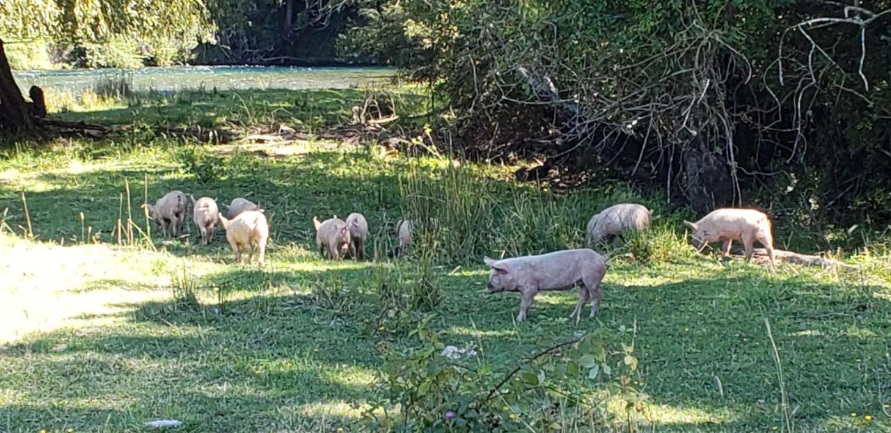 Casa De Campo Buenavista Pucon Bagian luar foto